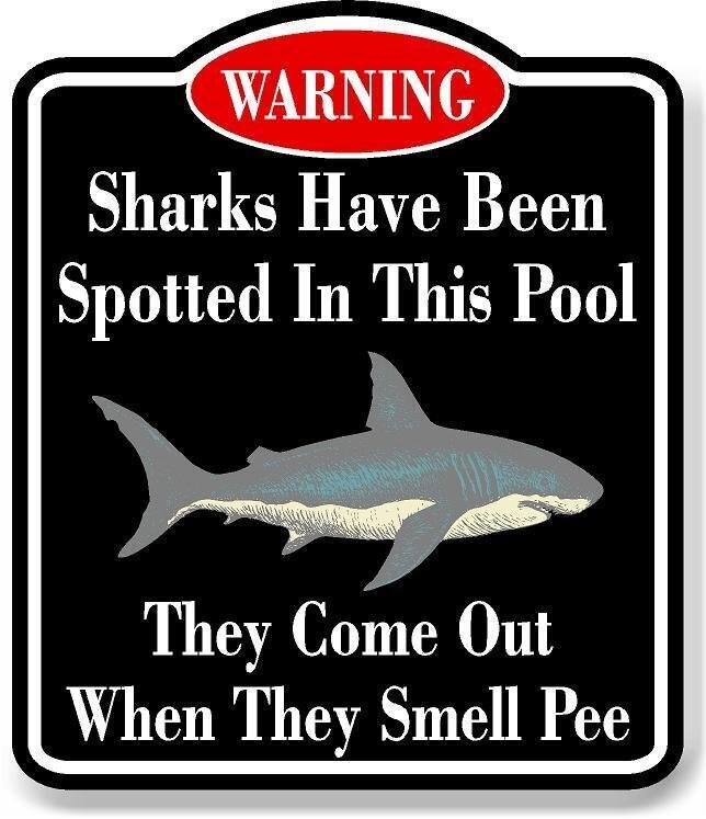 Warning Sharks In Pool When Pee BLACK Aluminum Composite Sign